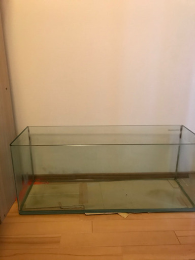 取引300達成期間限定8000円。曲げガラス90㎝水槽‼️