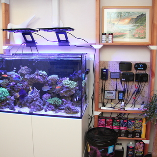 RedSea REEFER 250（V3サンプ）、水流ポンプ、L...