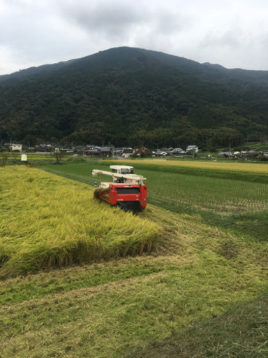 元気つくし30kg 白川米　玄米 令和元年産