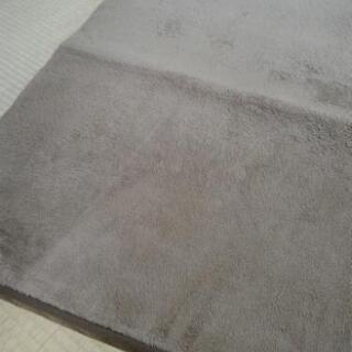 カーペットの画像