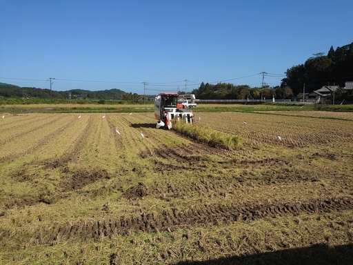 新年特価3割引 熊本有機農法竹炭米（ヒノヒカリ玄米30ｋ）31年間無農薬栽培