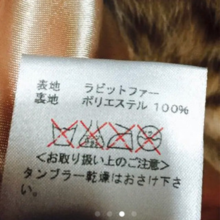 リリーブラウン/ファーコートの画像