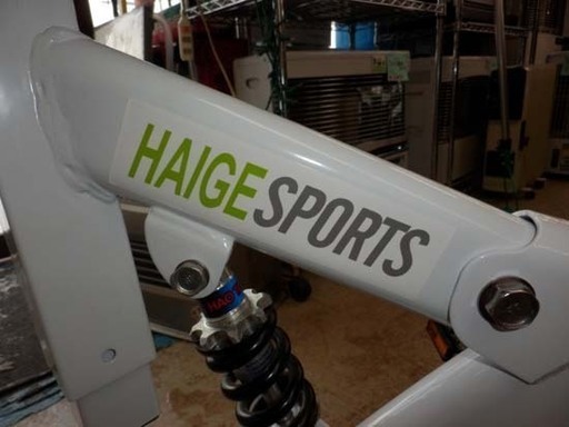 PayPay対応 ハイガー産業 HAIGE エアロバイク スピンバイク ダイエット ライムグリーン マット付属 札幌市西区西野