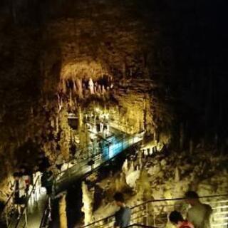 社員募集の画像