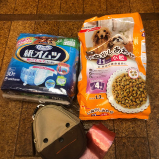 決まりました　老犬　犬　オムツ　ドッグフード　散歩ポーチ
