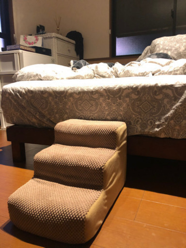 犬　猫　ペット　階段　ステップ