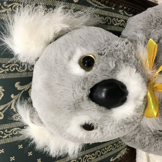 オーストラリアで購入した本場のコアラのぬいぐるみです！の画像