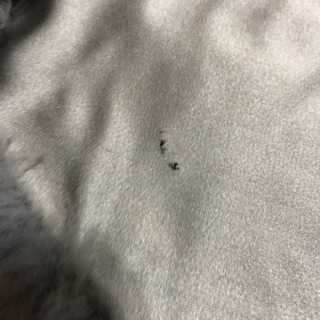 ムートンのショールの画像