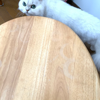 木製　折りたたみ式　ローテーブルの画像