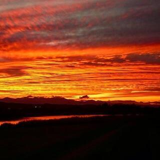 コストコ行ける人いませんか？