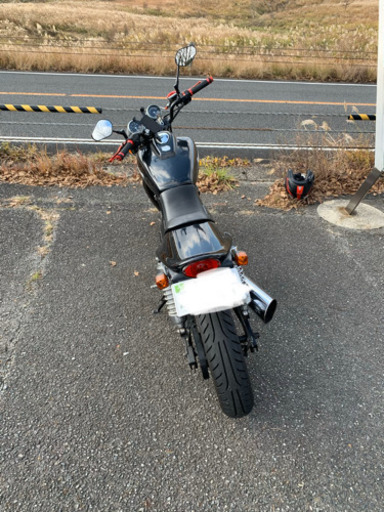 カワサキ エリミネーター250 se kawasaki 交換可