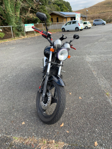 カワサキ エリミネーター250 se kawasaki 交換可