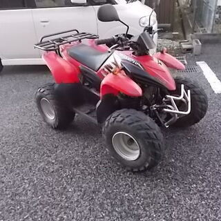 [購入済み]四輪バギー  DESERTCAT50　バック付き２ス...