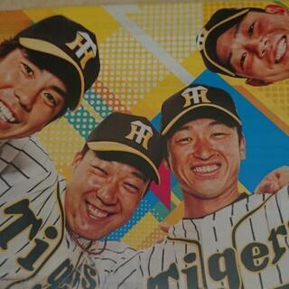 甲子園での２軍戦のチケット探してます。