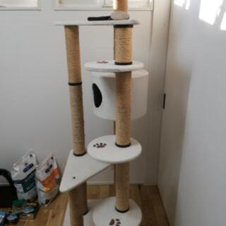 キャットタワー　※現在交渉中の画像