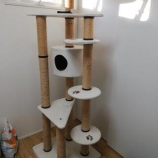 キャットタワー　※現在交渉中