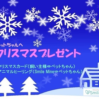 ペットちゃんへ【クリスマスプレゼント】