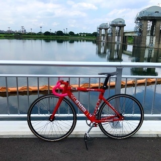 cinelli vigorelli shark