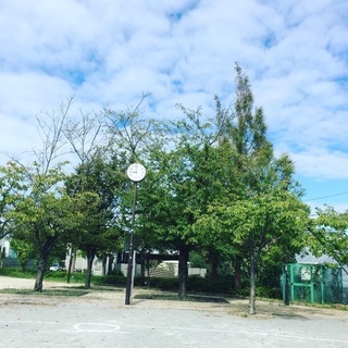 一ノ江フレンド公園フリーマーケット - 江戸川区
