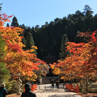 12/21 第６０番札所から第６３番札所まで巡礼 − 愛媛県