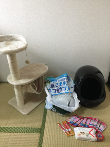 猫用品 新品