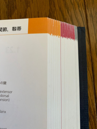 プロメテウス解剖学アトラス　解剖学総論/運動器系