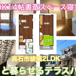 高石市綾園【敷金礼金0円】【家賃5.2万円】【室内設備ALL新品...