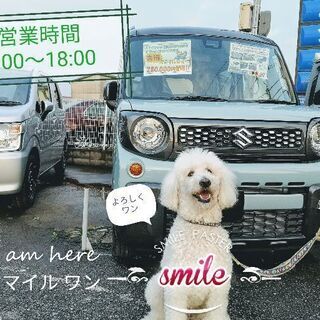 日払い、月払い可能です。の画像