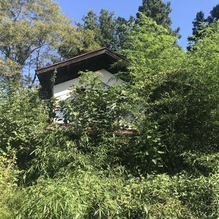 初期費用０☆賃貸 古家ありの土地（農地や資材置き場などに！）