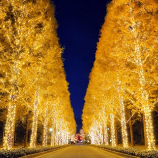 12/13 ロームのイルミネーション行きませんか？ - 京都市