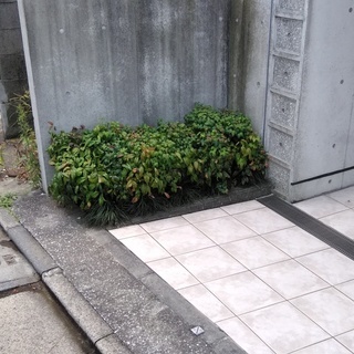 【渋谷区本町】掃除のお仕事情報 《No.12》◇毎週月曜日◇1時...