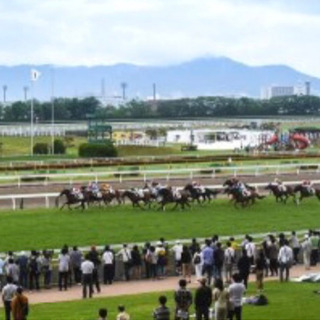 競馬好きな方、夫婦さんカップルさん(o^^o)