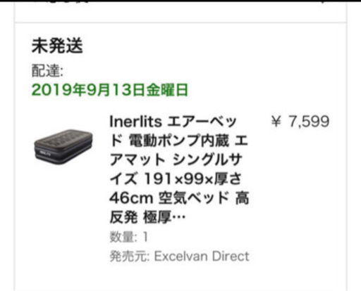 新品 エアベッド 持ち歩き可能