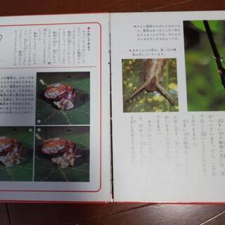 ⭐最終お値下げしました❗️科学のアルバム　２７冊の画像