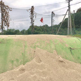 🔰初心者専門のゴルフスクール（仲間＆友達＆新しい出会いが増える♪年間コンペが楽しい♪少人数制ゴルフレッスン）🔰90分の無料体験レッスン＆8回無料モニター募集中！！9割が未経験・8割がお一人様参加｜柏原市・青谷ゴルフガーデン内の画像