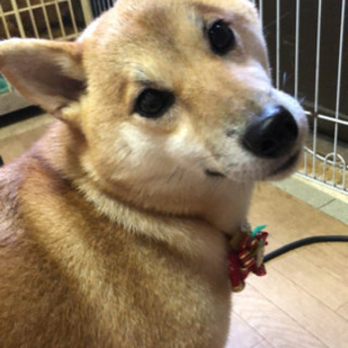 年内予約締め切りました！