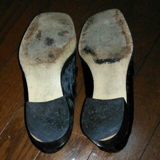 カリステのハラコローファー