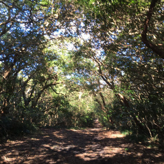 登山教室の画像