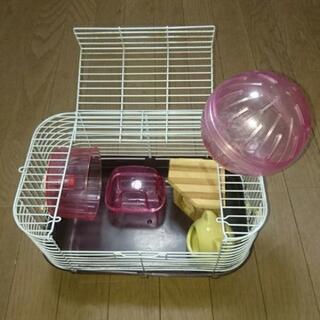 ハムスター飼育セットの画像
