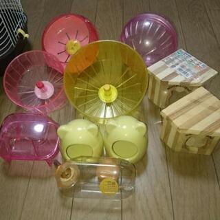 ハムスター飼育セットの画像
