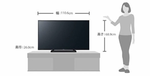 パナソニック 49V型 地上・BS・110度CSデジタルハイビジョン液晶テレビ ビエラ TH-49D305