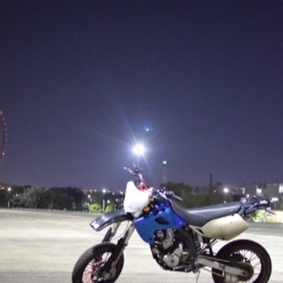 Dトラッカー250の画像