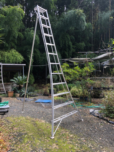 園芸用三脚　長谷川工業　12尺