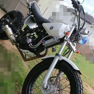 今週末限定20万→12万5千円！！TW200。自賠責一年半先まで...