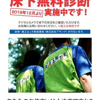 あのシロアリバスターズが！「シロアリ調査床下無料診断」キャンペー...