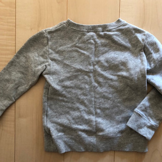 恐竜トレーナーの画像