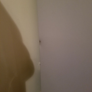 【再投稿】シャープ冷蔵庫　2ドアタイプの画像