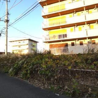 草刈りをお願い致します