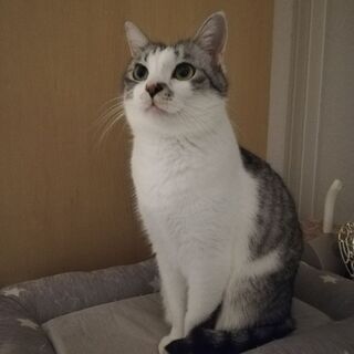 可愛がってくださる方