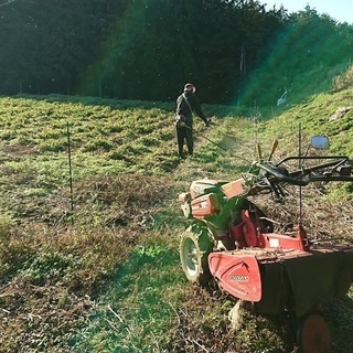 草刈、剪定などの造園作業致します！